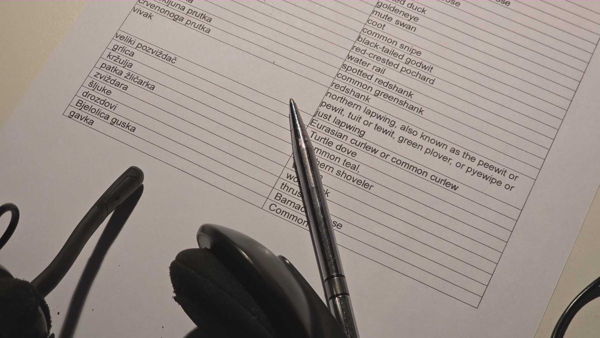 Conference interpreter's glossary for birds terminology with pen and headset